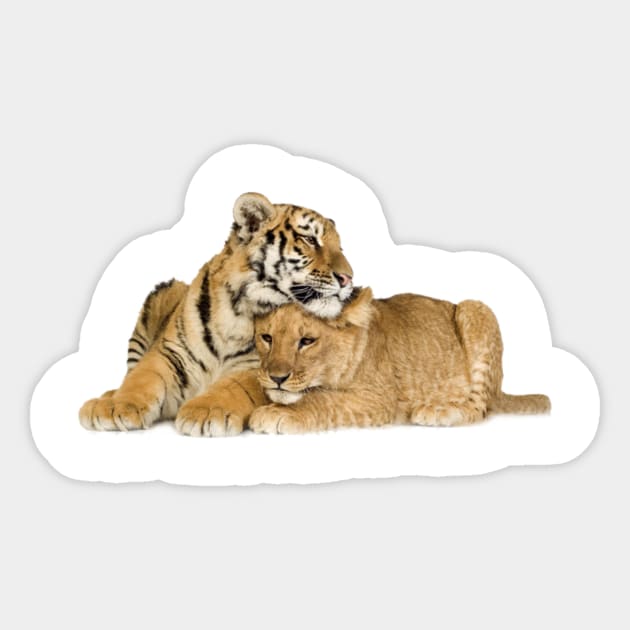 Cute Tiger Cub And Lion Cub Sticker by designsbycreation